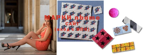 индика Покров