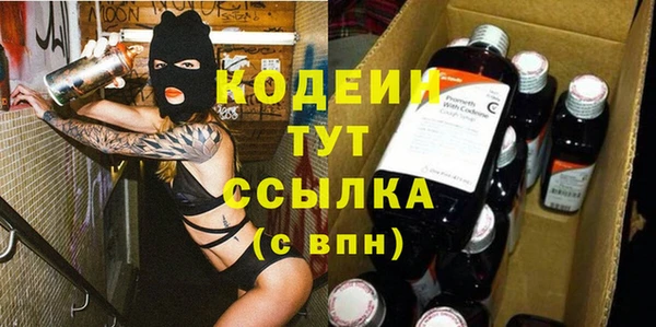 индика Покров