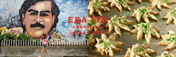 индика Покров