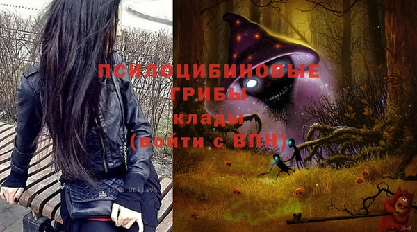 spice Покачи