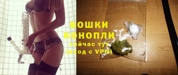 индика Покров