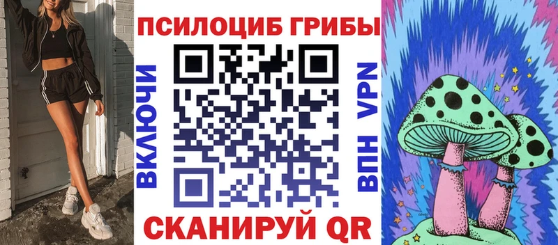 Псилоцибиновые грибы Psilocybine cubensis Алупка